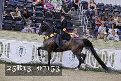 25R13_07153 thumbnail