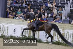 25R13_07154 thumbnail