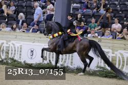25R13_07155 thumbnail