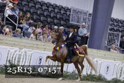 25R13_07157 thumbnail