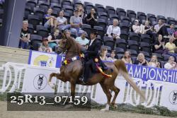25R13_07159 thumbnail