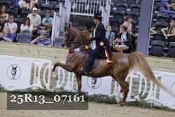 25R13_07161 thumbnail