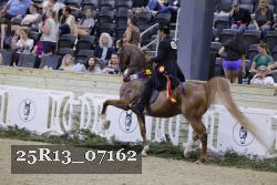 25R13_07162 thumbnail