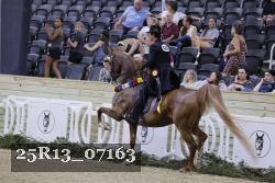 25R13_07163 thumbnail