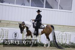 25R13_07171 thumbnail