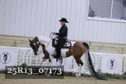 25R13_07173 thumbnail