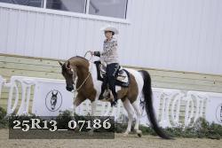 25R13_07186 thumbnail