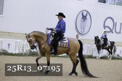 25R13_07195 thumbnail