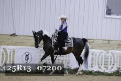 25R13_07200 thumbnail