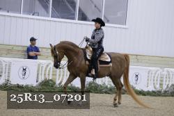 25R13_07201 thumbnail