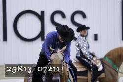 25R13_07211 thumbnail