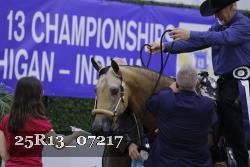 25R13_07217 thumbnail