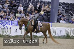 25R13_07228 thumbnail