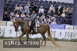 25R13_07229 thumbnail