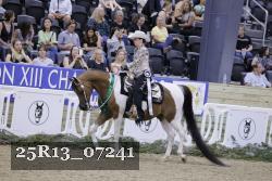 25R13_07241 thumbnail