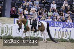 25R13_07243 thumbnail