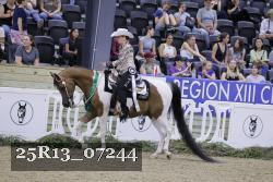 25R13_07244 thumbnail