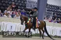 25R13_07245 thumbnail