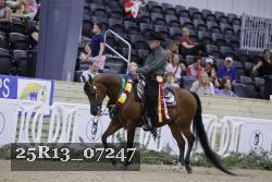 25R13_07247 thumbnail