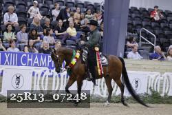 25R13_07248 thumbnail