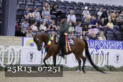 25R13_07251 thumbnail
