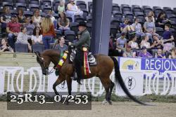 25R13_07253 thumbnail