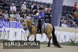 25R13_07261 thumbnail