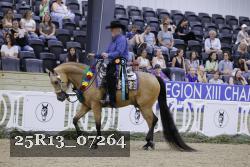 25R13_07264 thumbnail