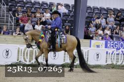 25R13_07265 thumbnail