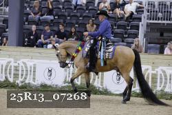 25R13_07268 thumbnail