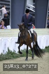 25R13_07272 thumbnail