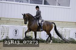 25R13_07273 thumbnail