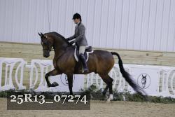 25R13_07274 thumbnail