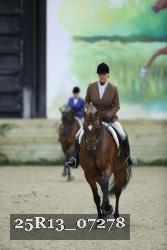 25R13_07278 thumbnail