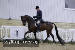 25R13_07279 thumbnail