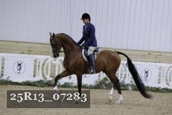 25R13_07283 thumbnail