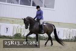 25R13_07284 thumbnail