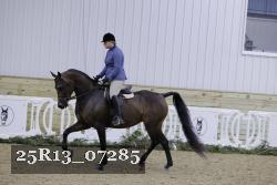 25R13_07285 thumbnail