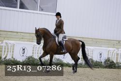 25R13_07286 thumbnail