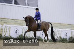 25R13_07288 thumbnail