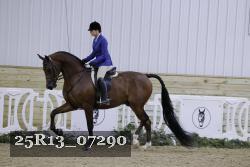 25R13_07290 thumbnail