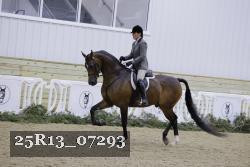 25R13_07293 thumbnail