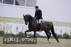 25R13_07295 thumbnail