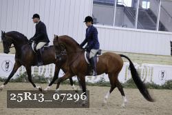 25R13_07296 thumbnail