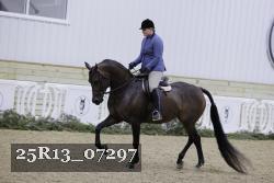 25R13_07297 thumbnail