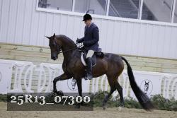 25R13_07300 thumbnail