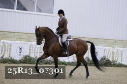 25R13_07301 thumbnail