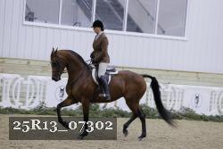 25R13_07302 thumbnail