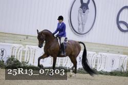 25R13_07303 thumbnail