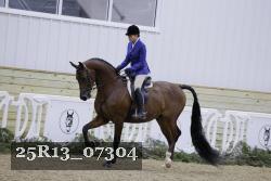 25R13_07304 thumbnail